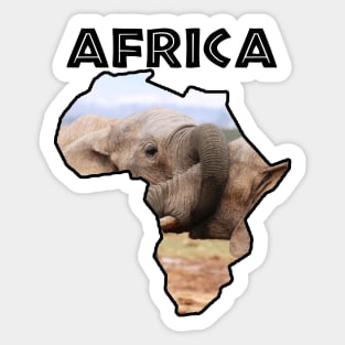 Africa Wildlife Continent Elephant Trunks Sticker